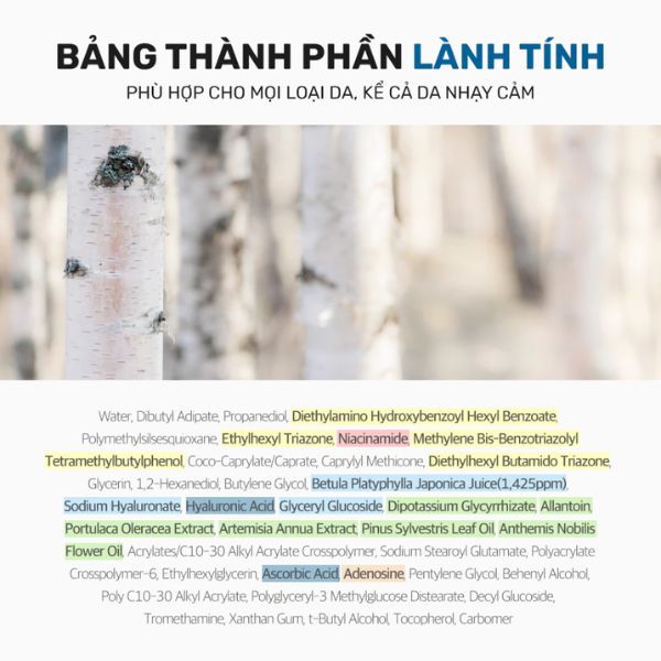 (XANH DƯƠNG) Kem Chống Nắng Dưỡng ẩm Round Lab Birch Juice Moisturizing Sunscreen SPF 50+ PA++++ 10ml/ 50ml