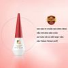 Marie Beauty Keo Dán Mi Giả Eye Glue #Trắng