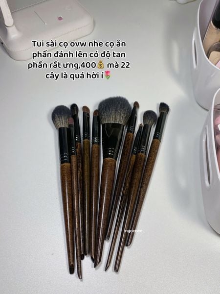 Bộ Cọ Make Up Artist trang điểm chuyên nghiệp lông thú 22 cây + tặng kèm túi lưới