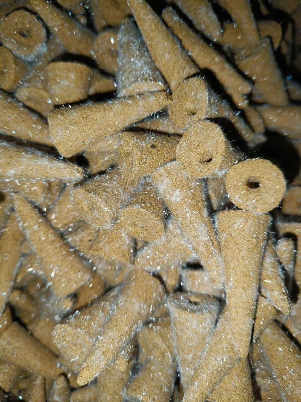 Cốt nụ hoàng đàn tuyết kim cao cấp – Nụ trầm vàng óng dầu thơm kéo dài