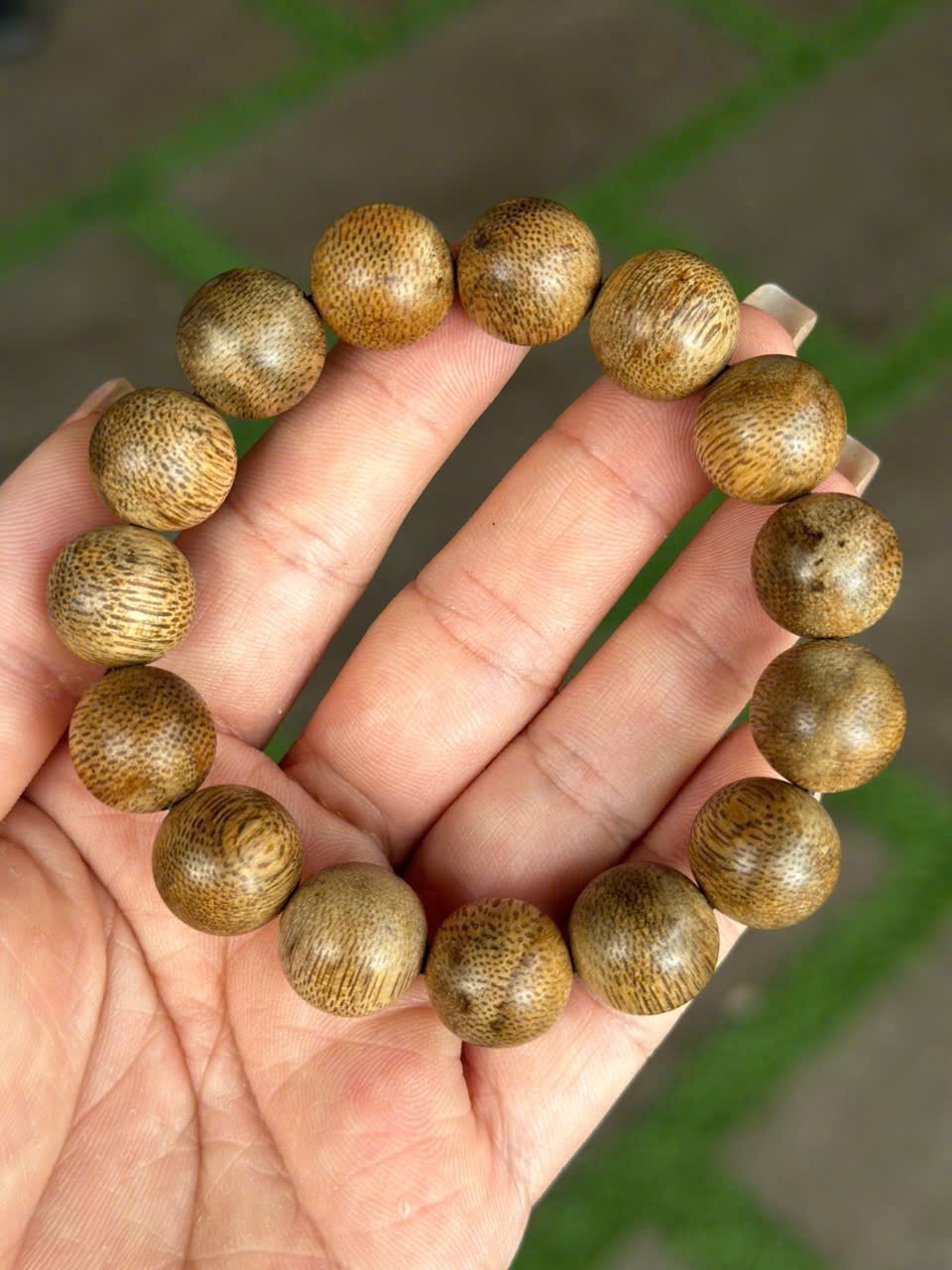 Vòng Banh Thái size 14li - Mùi siêu ngọt béo, dầu đỏ vân ẩn tự nhiên