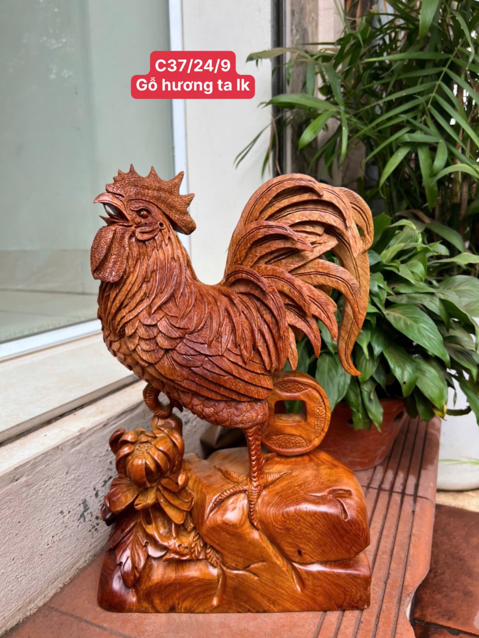 Tượng Nhất Kê Gỗ Hương Ta Liền Khối – Đục tay cao 37cm bao ship