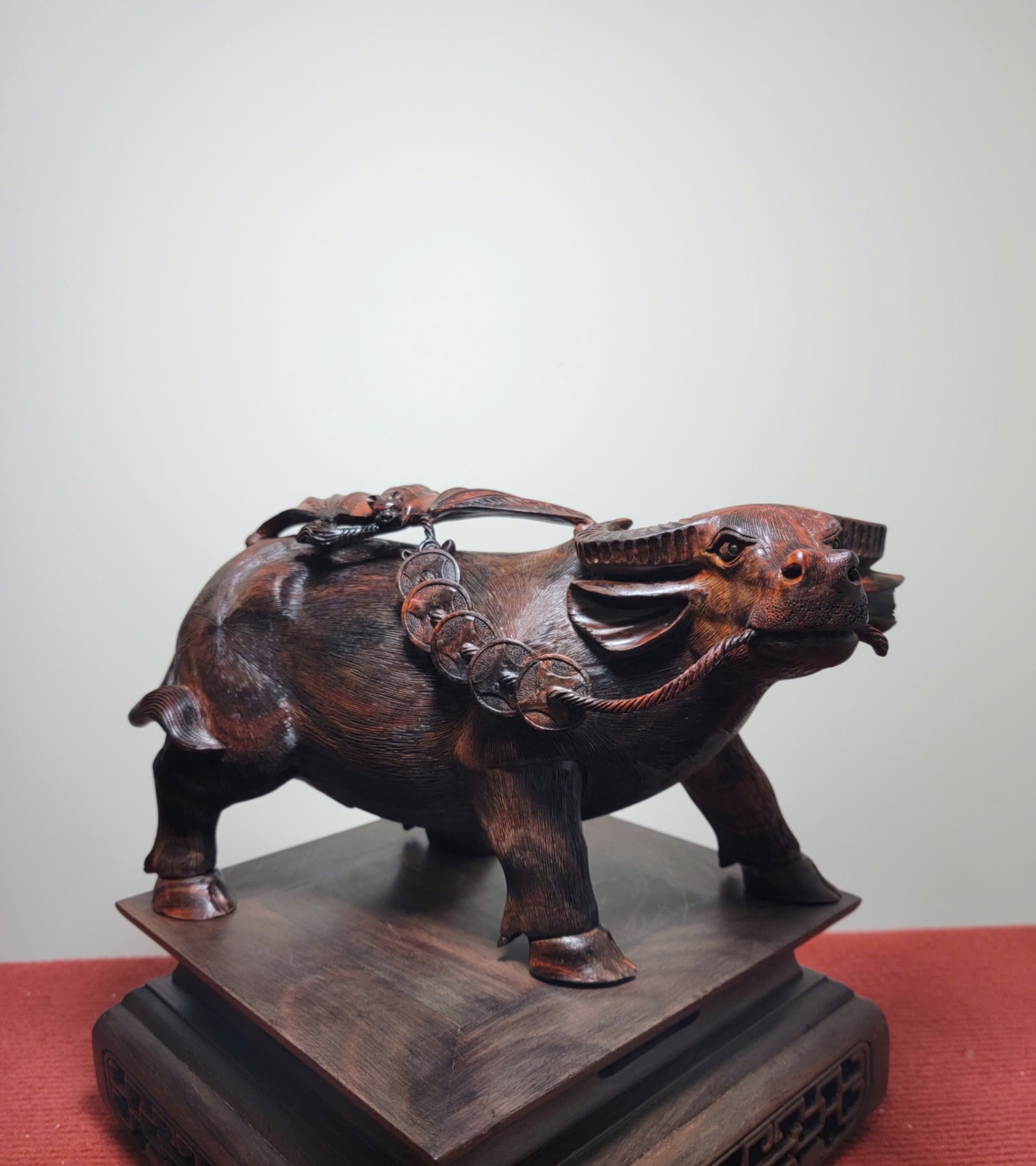 Tượng Trâu Ngậm Sâu Tiền Vàng Gỗ Trắc Liền Khối – Dài 30cm