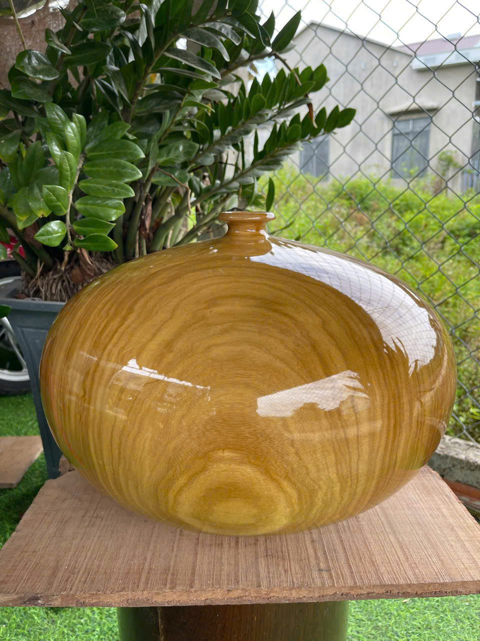 Chum Phú Quý Hoàng Đàn Trắng Gỗ Thơm - Đường Kính 43cm, Cao 30cm