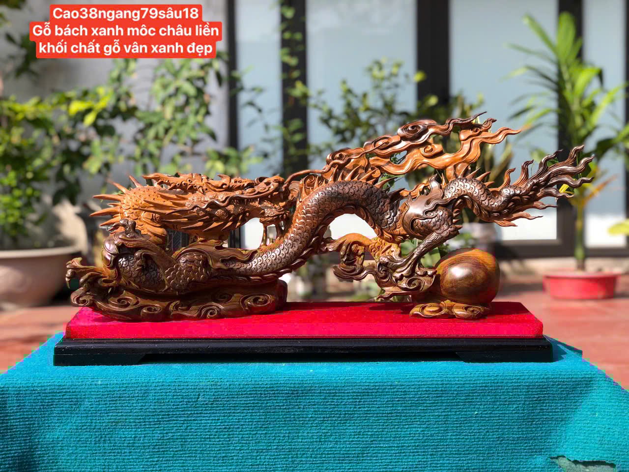 Tượng Rồng Nhất Long Vờn Ngọc - Gỗ Bách Xanh Mộc Châu, Liền Khối