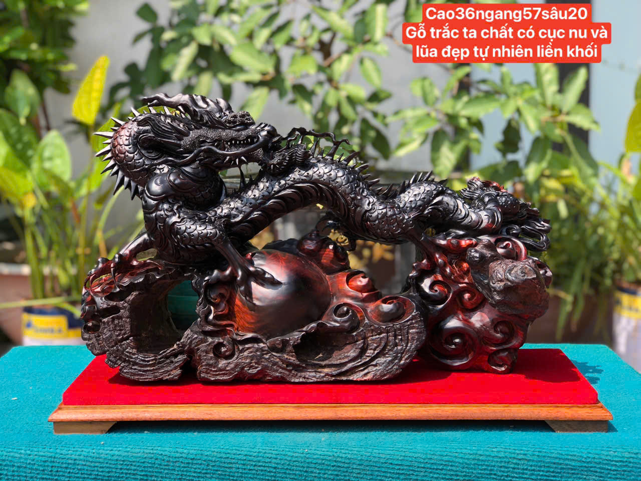 Tượng Nhất Long Gỗ Nu Lũa Trắc Đỏ Đen Liền Khối – Biểu tượng quyền lực, tài lộc