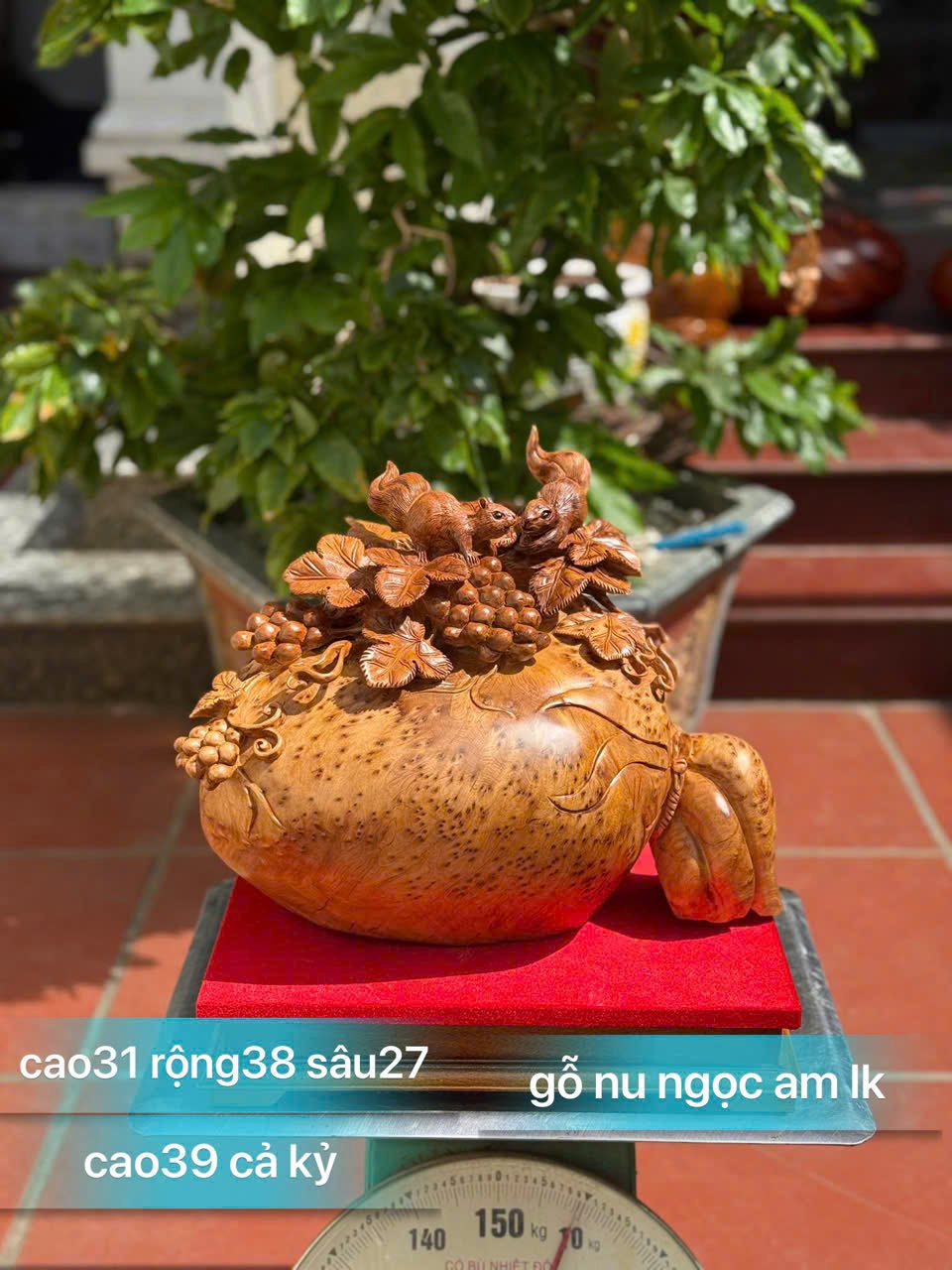 Bao Tiền Nho Sóc Gỗ Nu Ngọc Am – Liền Khối, Siêu Kỹ, Thơm Nức Mũi