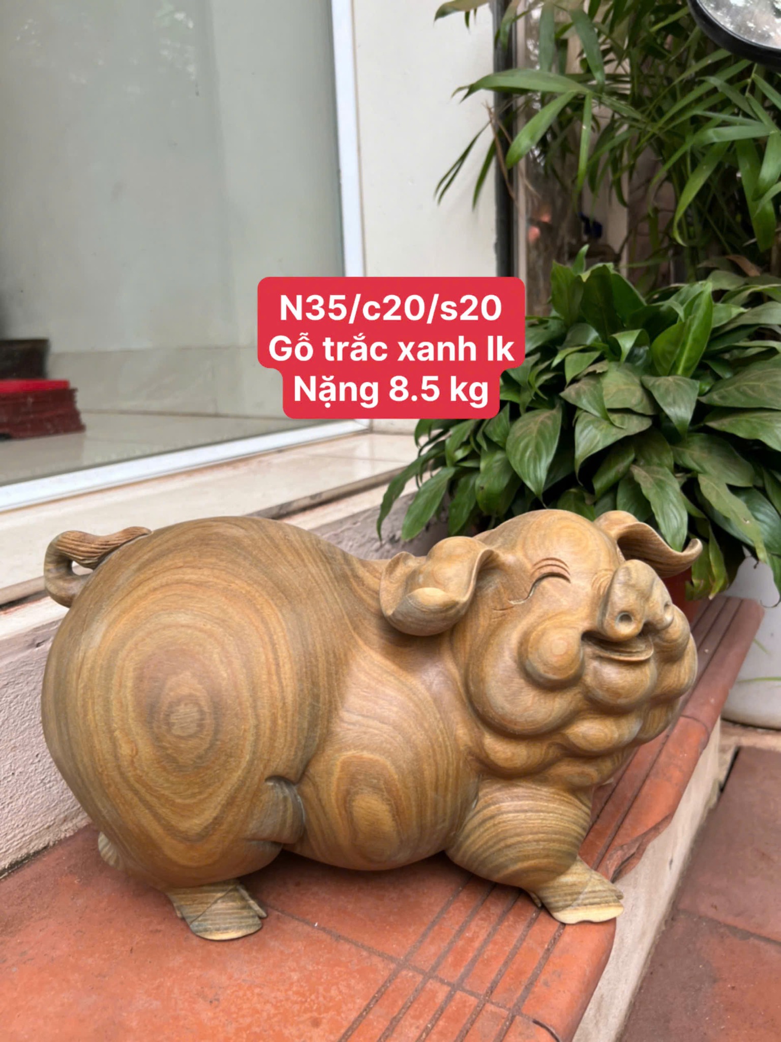 Tượng Heo Gỗ Trắc Xanh Liền Khối – Phong Thủy May Mắn