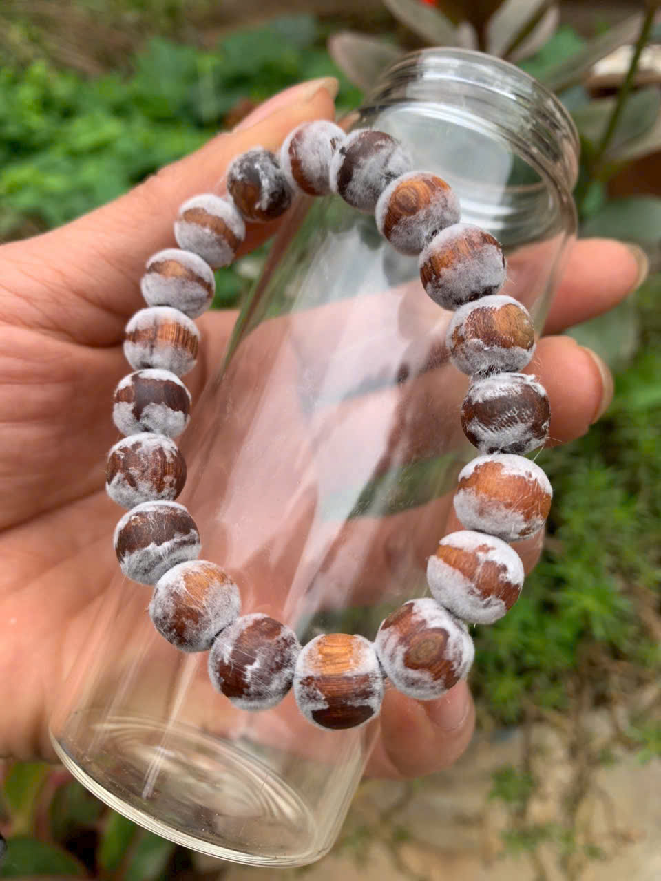 Vòng tay hoàng đàn chìm nước 10li – thấu quang – thơm mạnh – tặng hộp kính