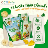  Trái Cây Thập Cẩm Sấy 