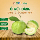  Ổi Nữ Hoàng 