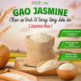  Gạo Jasmine 