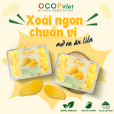  Xoài cắt gọt 