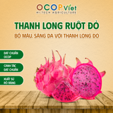  Thanh Long Ruột Đỏ 