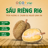  Sầu Riêng Ri6 