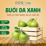  Bưởi da xanh 