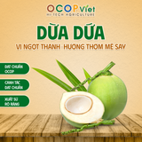  Dừa Dứa 