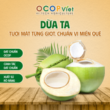  Dừa Ta 