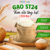  Gạo ST24 