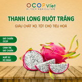  Thanh Long Ruột Trắng 