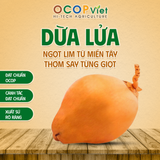  Dừa Lửa 