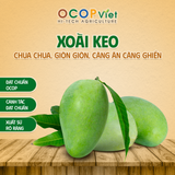 Xoài Keo 