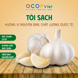  Tỏi 
