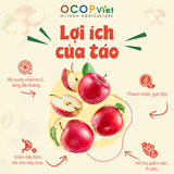  Táo cắt gọt 