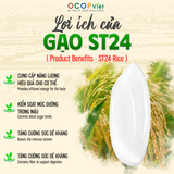  Gạo ST24 