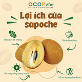  Sapoche cắt gọt 