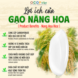  Gạo Nàng Hoa 