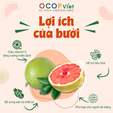  Bưởi cắt gọt 