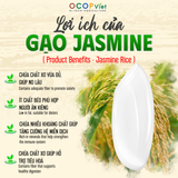  Gạo Jasmine 