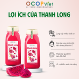  Nước ép thanh long 