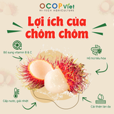  Chôm chôm cắt gọt 