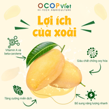  Xoài cắt gọt 