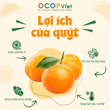  Quýt cắt gọt 