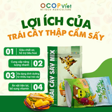 Trái Cây Thập Cẩm Sấy 