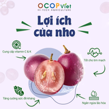  Nho cắt gọt 