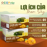  Thơm sấy dẻo 