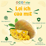  Mít cắt gọt 