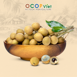  Nhãn Xuồng Cơm Vàng 