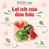  Dưa hấu cắt gọt 