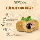  Nhãn Xuồng Cơm Vàng 