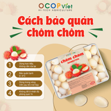  Chôm chôm cắt gọt 