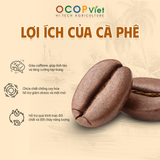  Cà phê Robusta 
