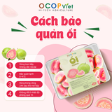  Ổi cắt gọt 