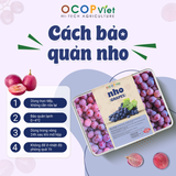  Nho cắt gọt 