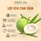  Dừa Dứa 
