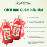  Nước ép dưa hấu 